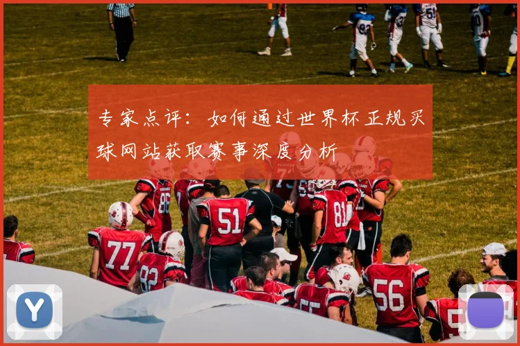 专家点评：如何通过世界杯正规买球网站获取赛事深度分析