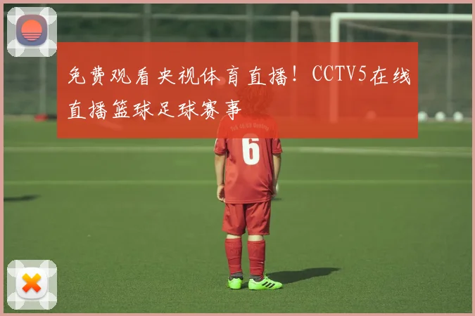 免费观看央视体育直播！CCTV5在线直播篮球足球赛事