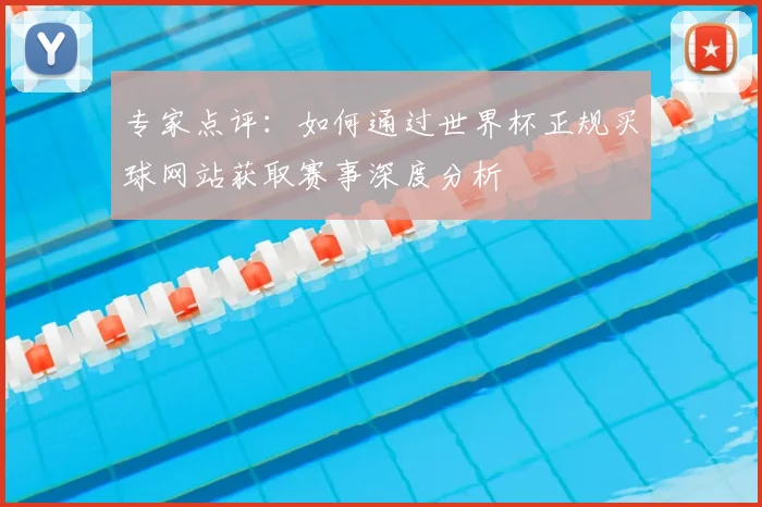 专家点评：如何通过世界杯正规买球网站获取赛事深度分析