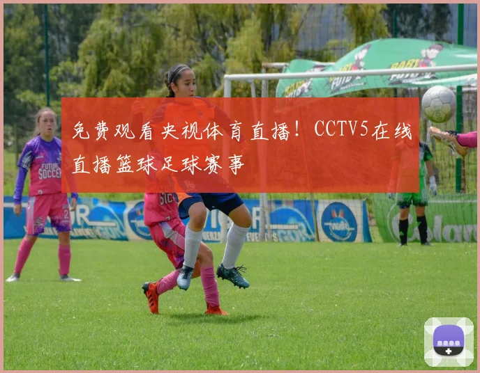 免费观看央视体育直播！CCTV5在线直播篮球足球赛事