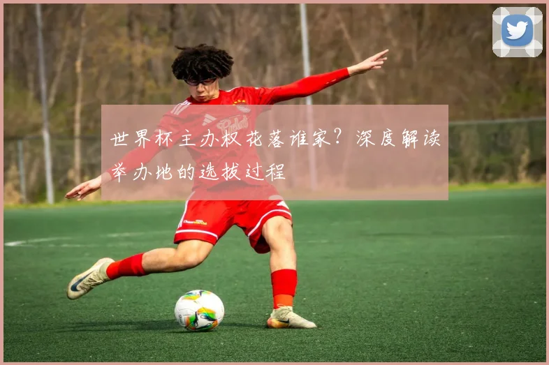 世界杯主办权花落谁家？深度解读举办地的选拔过程