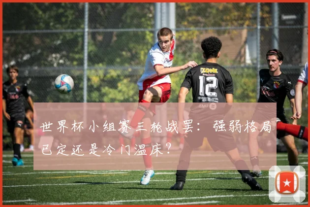 世界杯小组赛三轮战罢：强弱格局已定还是冷门温床？