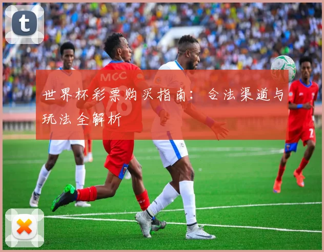 世界杯彩票购买指南:合法渠道与玩法全解析
