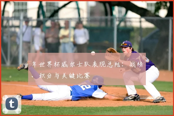 年世界杯威尔士队表现总结:战绩、积分与关键比赛