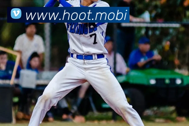 开云app在线网页版入口发展历程